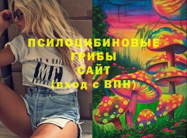 винт Медвежьегорск
