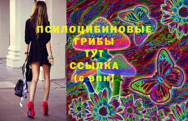 винт Медвежьегорск