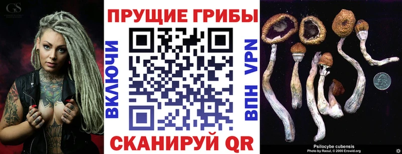 Галлюциногенные грибы ЛСД  магазин продажи   Облучье 